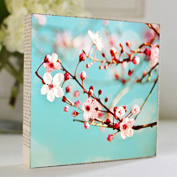 Blossoms 5x5 Art Block